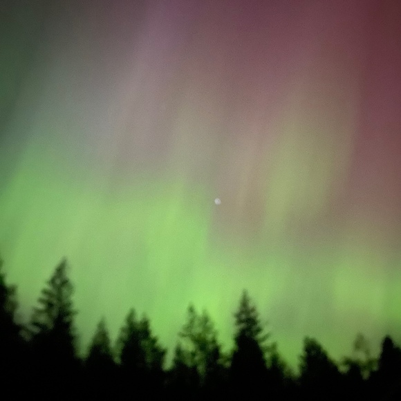 Meet your Posher, Jennifer - Picture 1 of 1